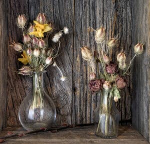 Dolores Frank - The Life of Flowers Continue