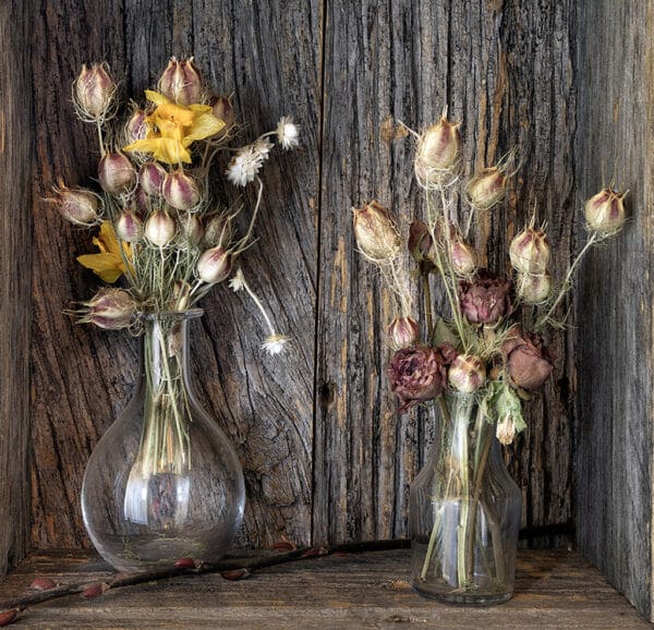 Dolores Frank - The Life of Flowers Continue