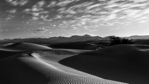 Therese Iknoian - Silent Dunes