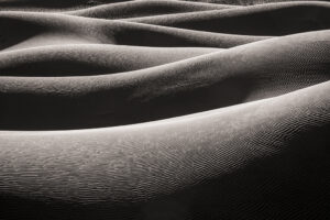 David Ruderman - Morning Dune