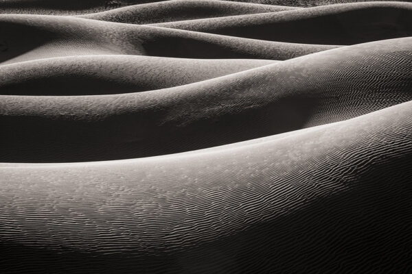 David Ruderman - Morning Dune
