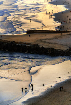 Sharon Saltzman - Beach at Sunset