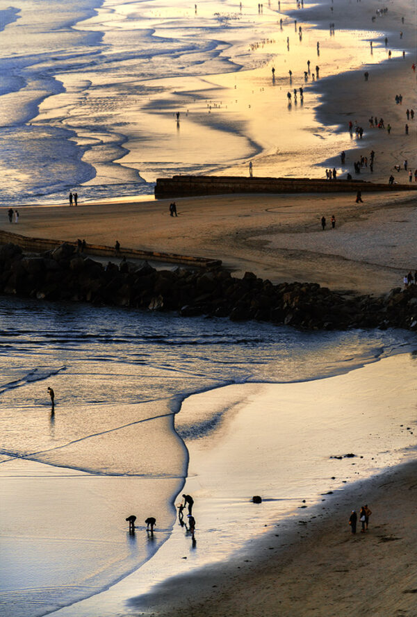 Sharon Saltzman - Beach at Sunset