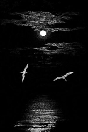 Gerrit van Ommerring - Night Fliers