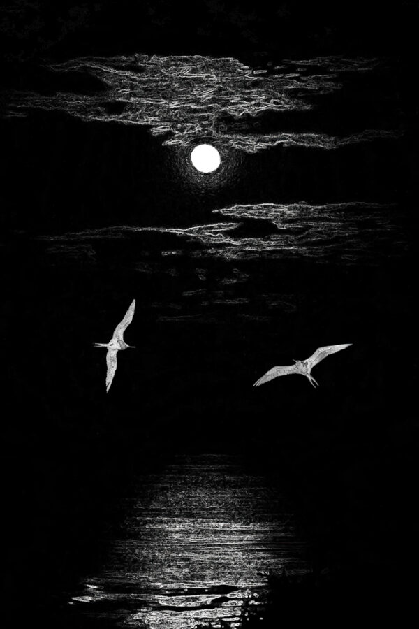 Gerrit van Ommerring - Night Fliers