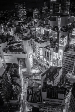 Shibuya from Above