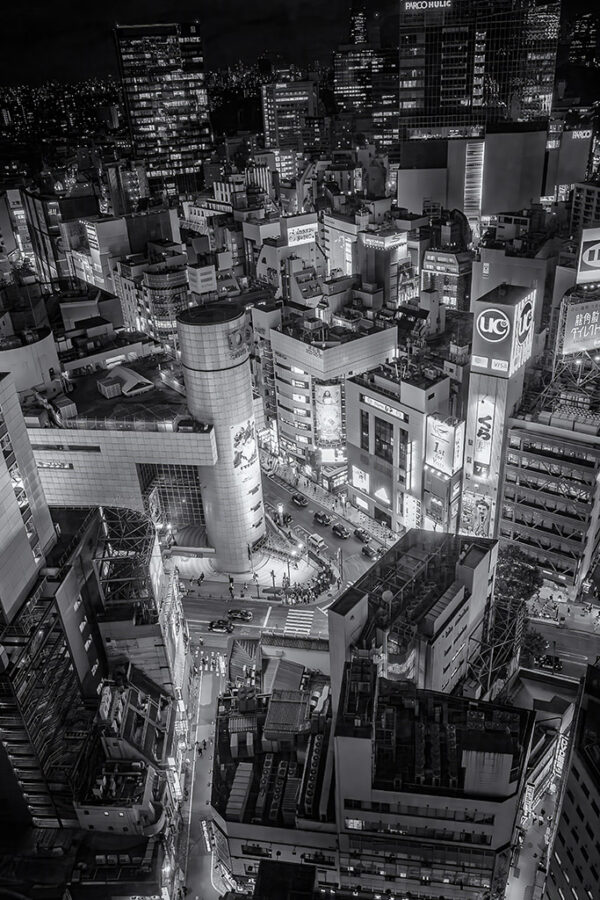 Shibuya from Above