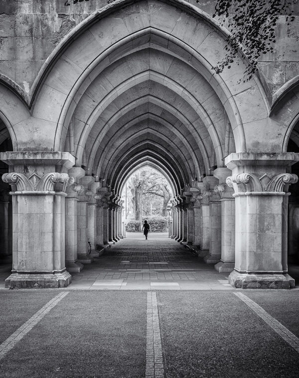Solitary Figure, University of Tokyo