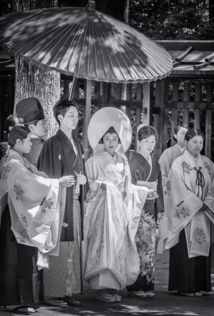 Wedding Party