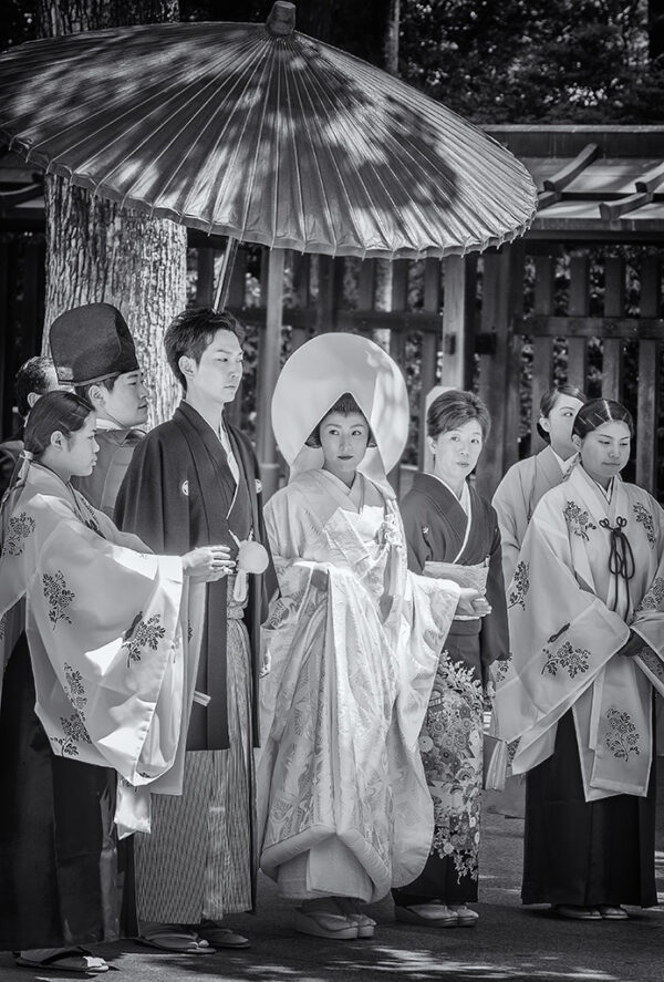 Wedding Party