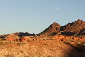 Desert Moon