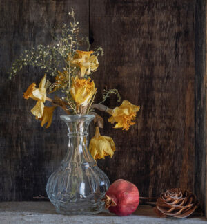 Dolores Frank - The After Life of Flowers