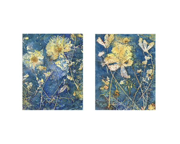 Holly Cronin - Zinnias & Cosmos