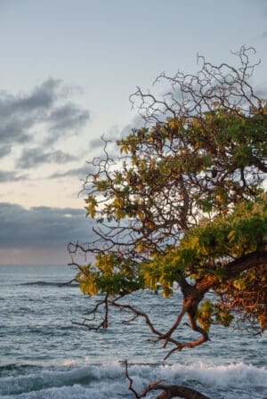 Kauai Sunrise
