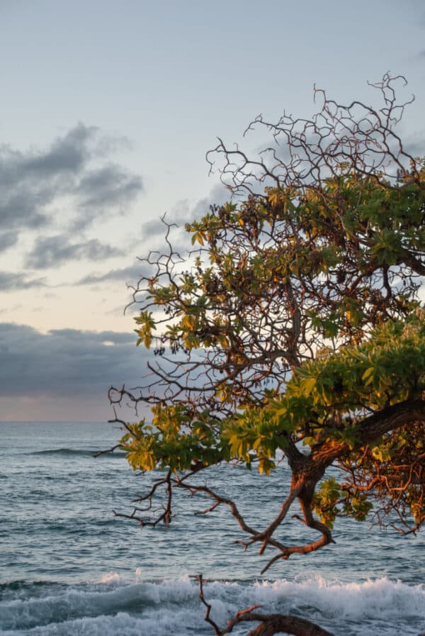 Kauai Sunrise