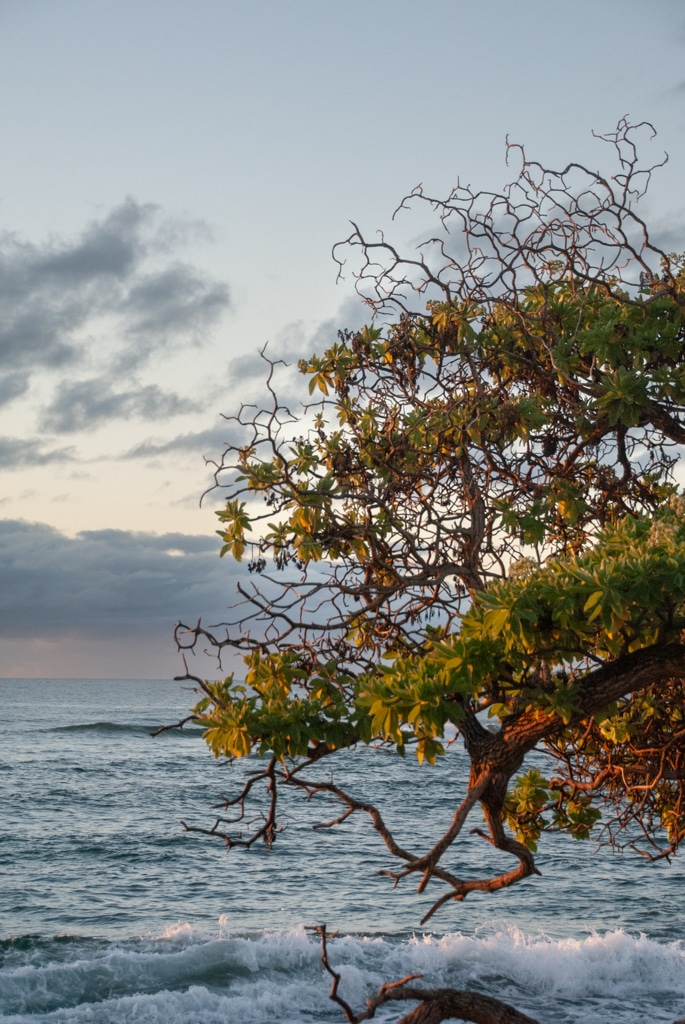Kauai Sunrise