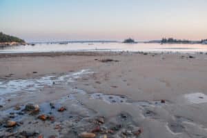 Morning in Maine