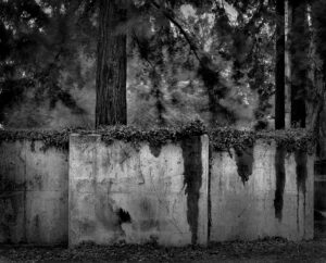 Jeff Redman - Mysterious Mare Island Bunker