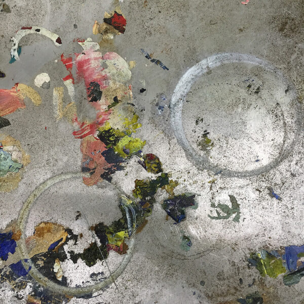Rebecca Gregg - Under the Lens