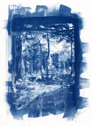 Sierra Blues #1