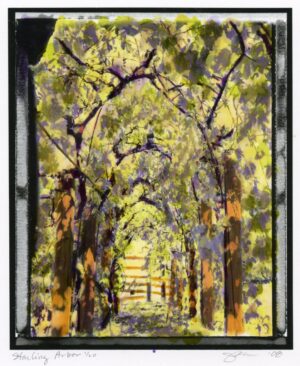 Starling Arbor