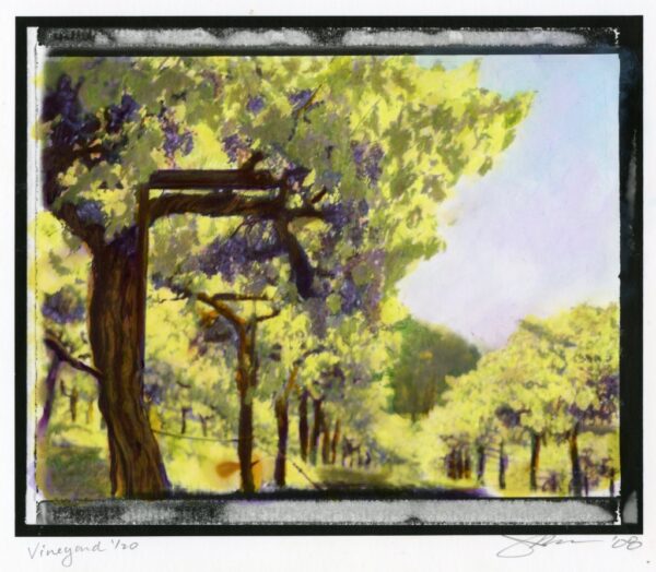 Vineyard