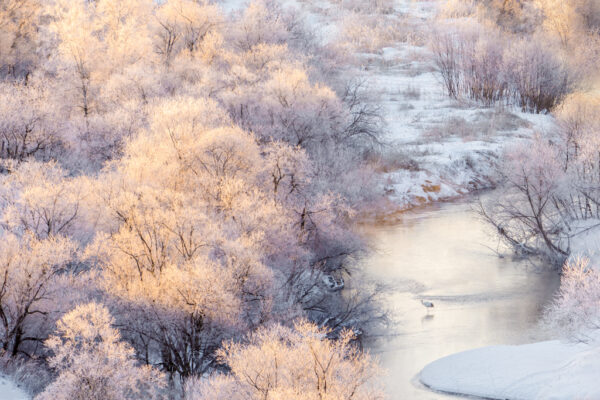 Winter Dawn on Kushiro River