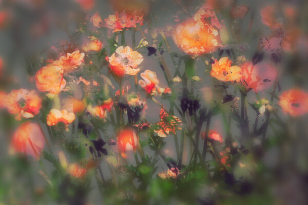 Hope