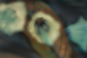 Melancholy