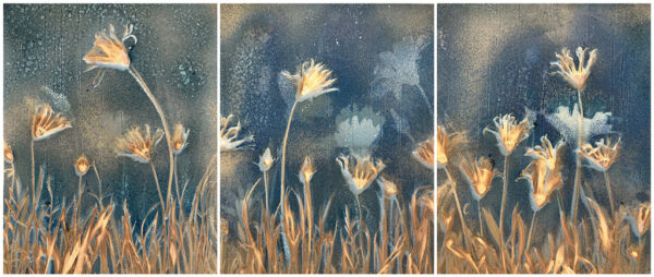 Dan Herrera -Del Rio Trail Landscape. Triptych (ED. 1/1)