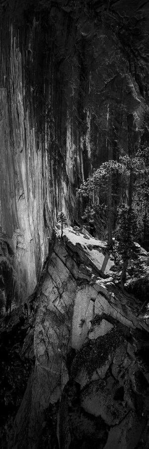 David Best -Ellen, Half Dome