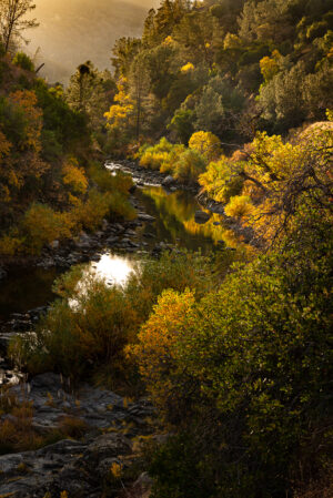 Fall Color Along Cache Creek