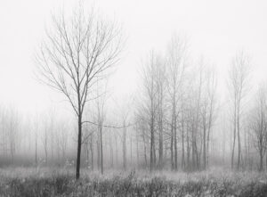 Franka Gabler -Rainy Day Along Lake Erie #3