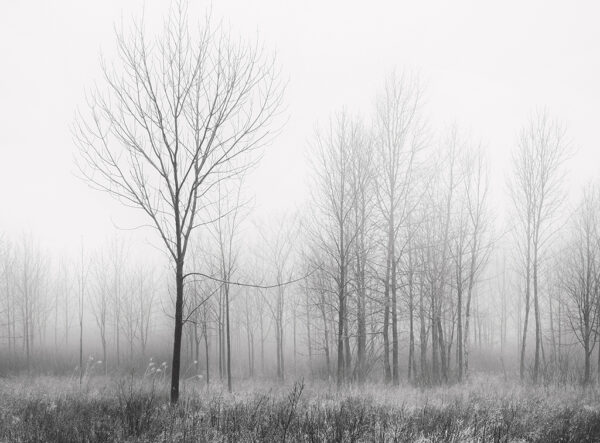 Franka Gabler -Rainy Day Along Lake Erie #3
