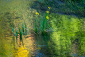Iris River