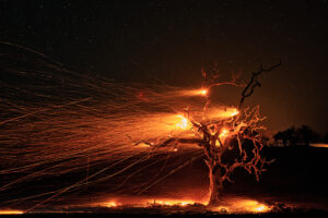 Paul Kitagaki, Jr -Kincaid Fire