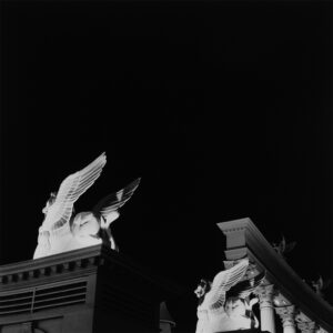 Griffins & Angels