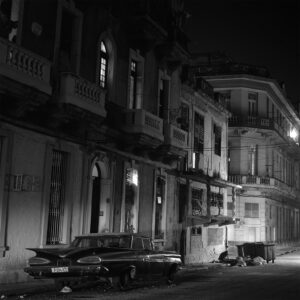 Impala Alley