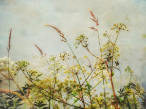 Dianne Poinski -Botanical Harmony, (ED 1/1)