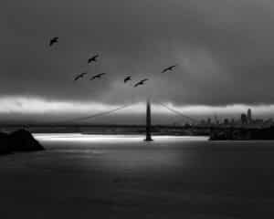 Alessandra Chaves - The Island light at San Francisco