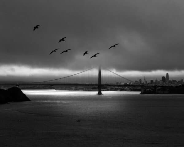 Alessandra Chaves - The Island light at San Francisco