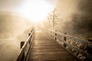 Heather Cline - Heather Cline - Steam rising above boardwalk at sunrise