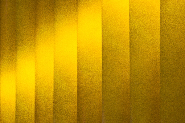 Diana Coleman - Cracked Light