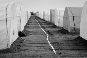 Jan Cordova-Manzi - Middle Line