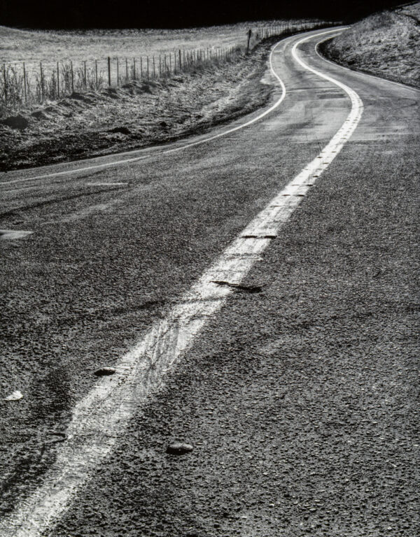 Ben Garfinkle -Quien Sabe Road