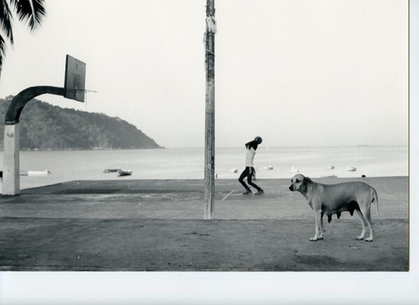 Robert Lehmann - Last Shot