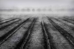 Donna Levreault - Winter Fields