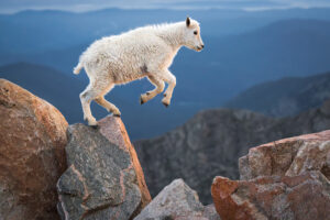 Kathleen Sewell - Living on the Edge