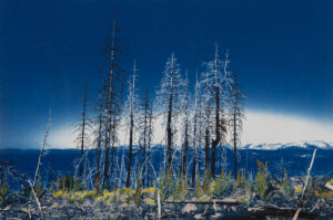 Debra Small - Habitat Destruction - Climate Change, Caldor Fire CA