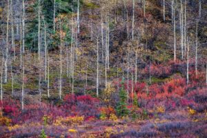 Workshop Registration: Processing Your Raw Images with Adobe Camera Raw and Lightroom
